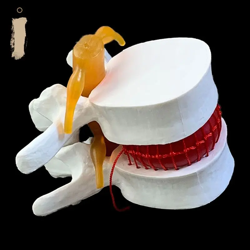 Anatomisches Demonstrationsmod – Examination Bed Medical Bewertung und Preis