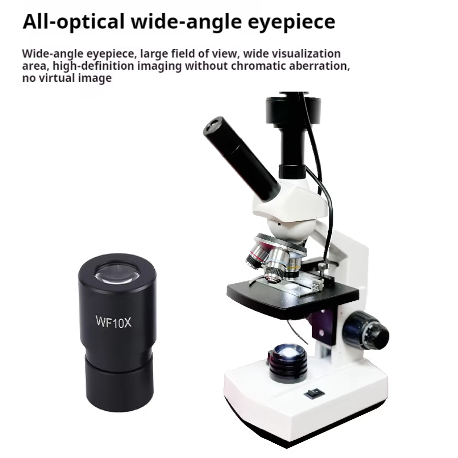 Top Verkauf HD Bildschirm Digi – Medical Lab Usa Bewertung und Preis